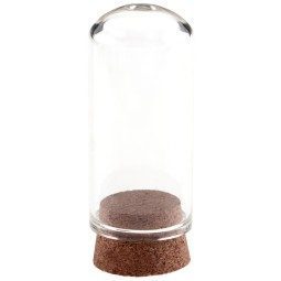 Tube éprouvette en verre 6.5 CMx 2.2 (x 48) - Convient pour aliment