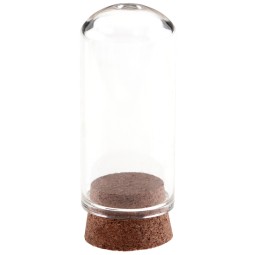 Tube éprouvette en verre 6.5 CMx 2.2 (x 48) - Convient pour aliment