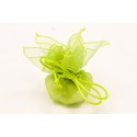 Rond organza automatique x 6