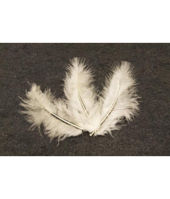 plumes Ivoires