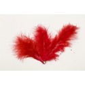 20 plumes rouges
