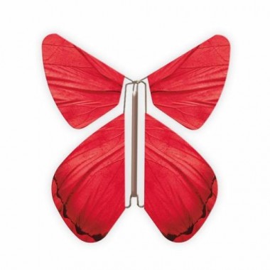 Papillon impulse rouge