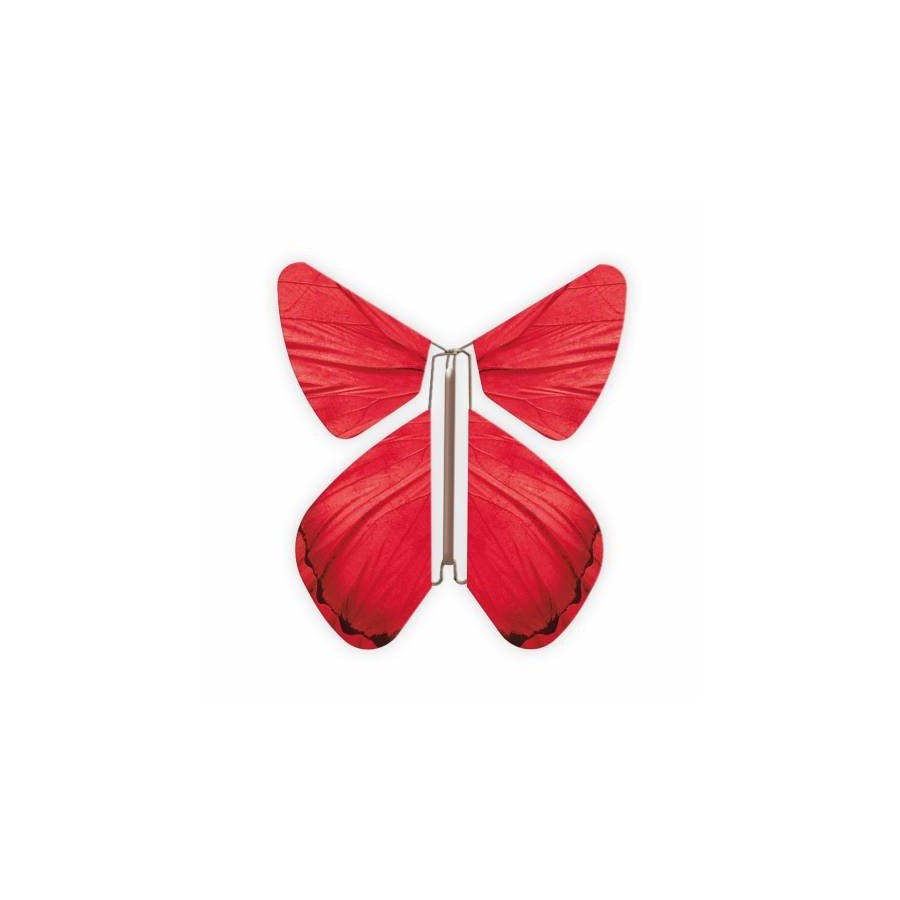 Papillon impulse rouge