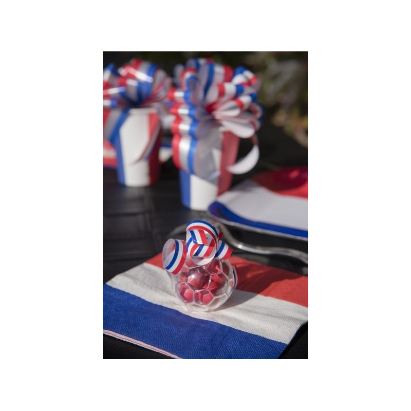4 ballons de foot en plexi