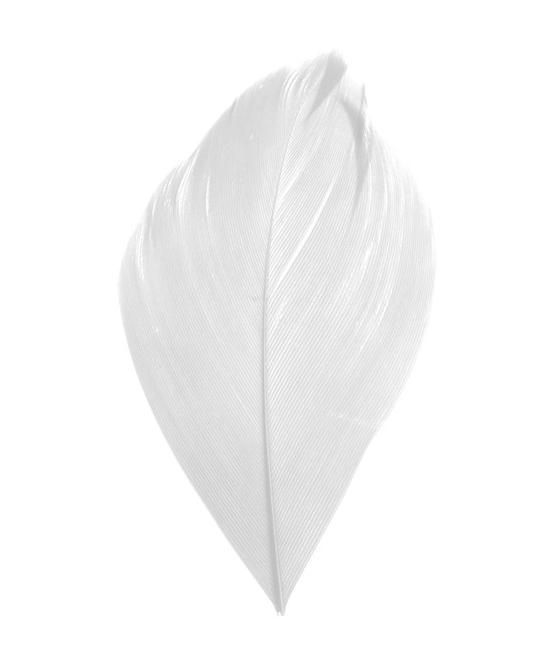 Plumes blanches décoration mariage et baptême – sachet de 100 pièces