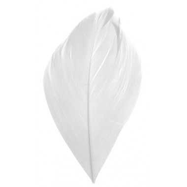 PLUME BLANCHE