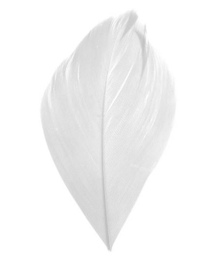 Plumes blanches décoration mariage et baptême – sachet de 100 pièces