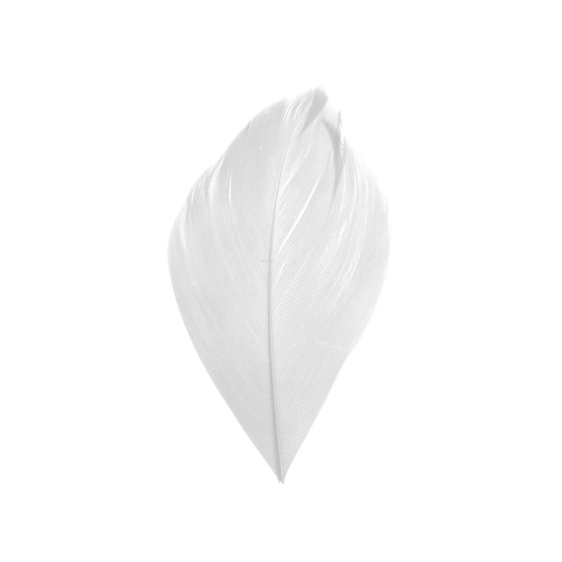 Plumes blanches décoration mariage et baptême – sachet de 100 pièces
