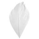 Plumes blanches décoration mariage et baptême – sachet de 100 pièces