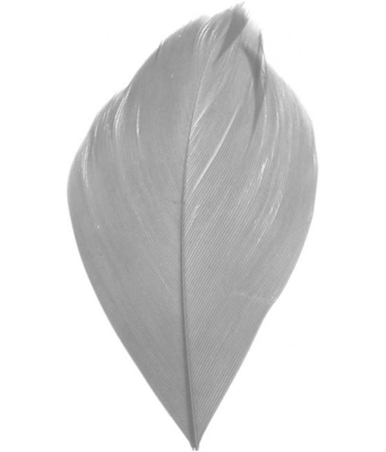 plume grise