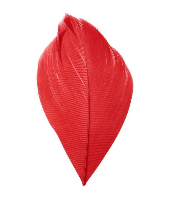plume rouge