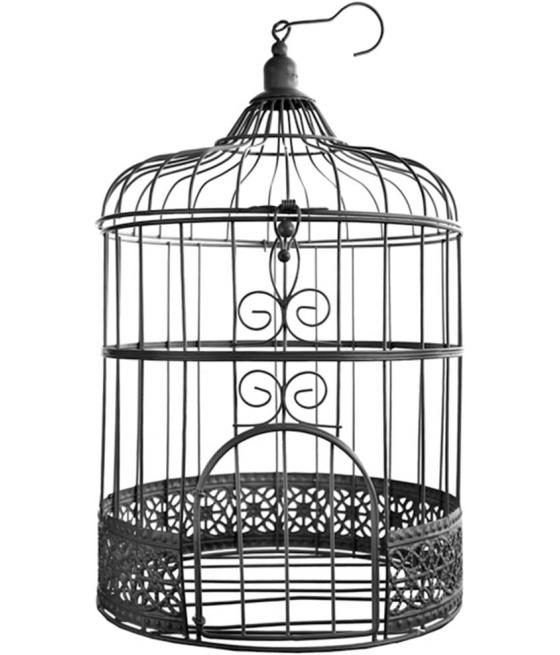 Tirelire cage boire