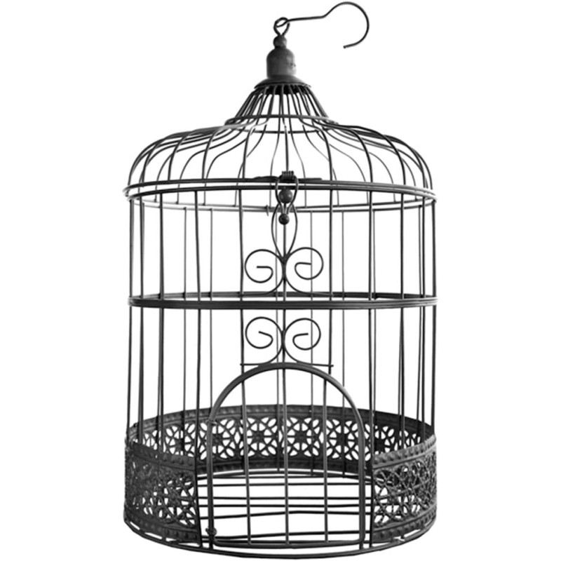 Tirelire cage boire