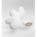 Dragées Avola Marquise Blanches - 1kg