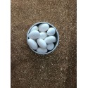 Dragées Amandes blanc - 1kg