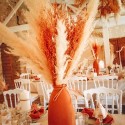 Maxi branche de pampa naturel