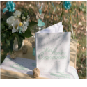 Livre d'or communion mint