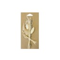 Bouquet fleurs