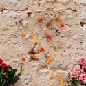 Déco Murale de Fleurs Séchées
