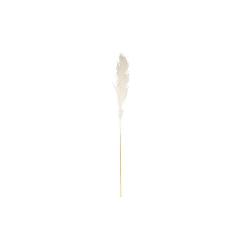 Pampa Garnie La Audette Blanche