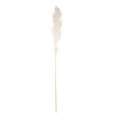 Pampa Garnie La Audette Blanche Pampa Garnie La Audette Blanche