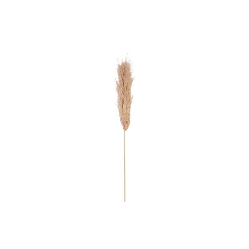 Pampa Garnie La Marjorette Naturelle