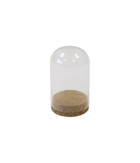 Cloche en verre 10cm + support liège - Convient pour aliment
