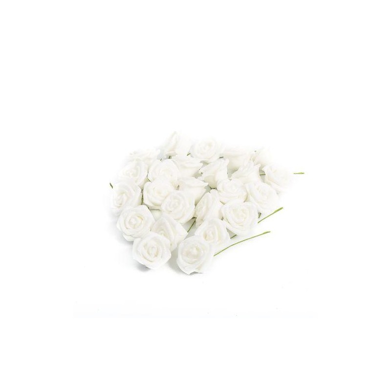 24 Roses Mousse Blanche