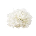 tete hortensia blanc artificielle tete hortensia blanc artificielle