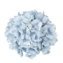 tete hortensia bleu ciel artificielle tete hortensia bleu ciel artificielle